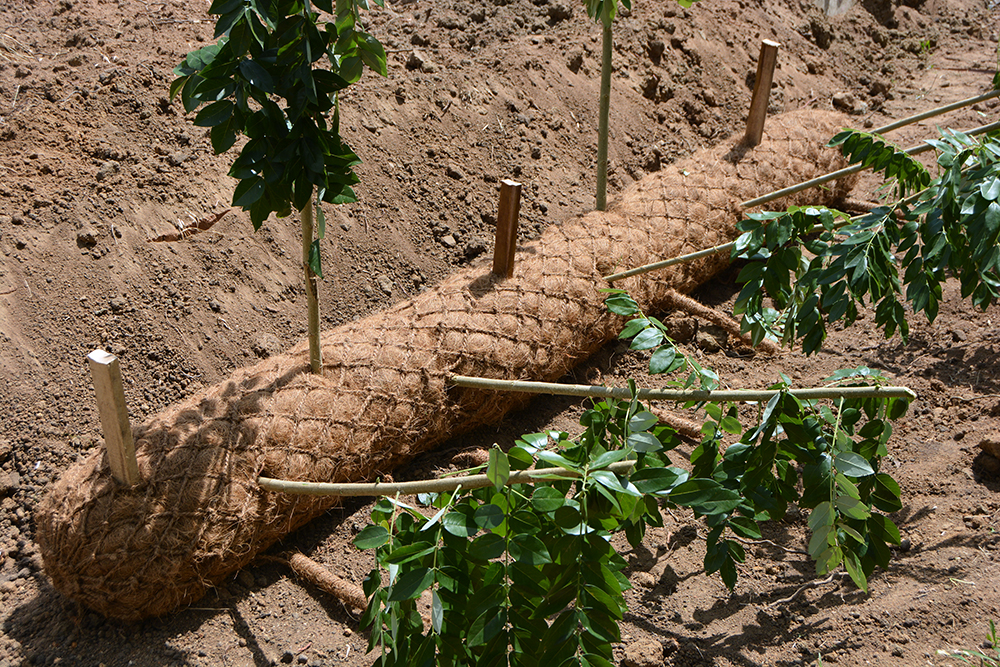 BioD-SuperRoll from RoLanka International Inc.