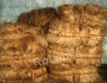 bristle-coir-fiber