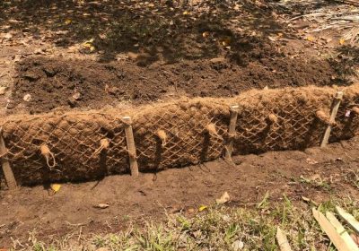 Plugs where invisible planting holes are located